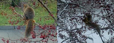 Before-After